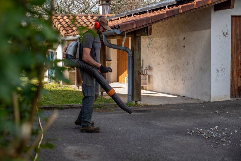 Gaillardet à Dax - Paysagiste - 2