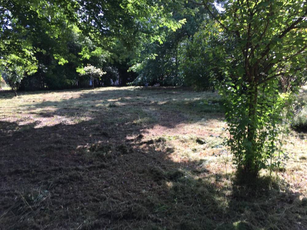 Gaillardet - Entretien espaces verts - 12