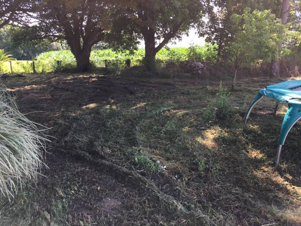 Gaillardet - Entretien espaces verts - 16