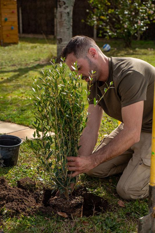 Entretien de jardin à Dax  notre intervention