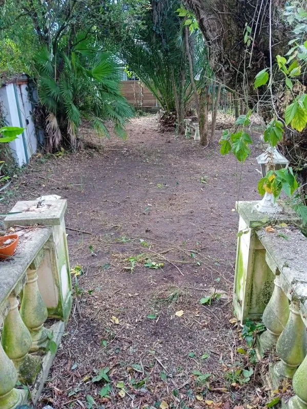 jardin_friche_photo_apres