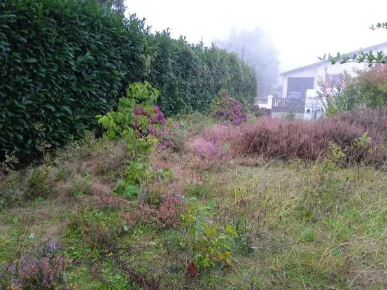 entretien_jardin_photo_avant